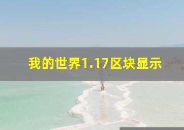 我的世界1.17区块显示