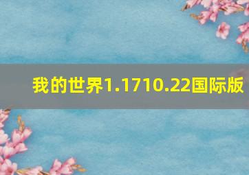 我的世界1.1710.22国际版