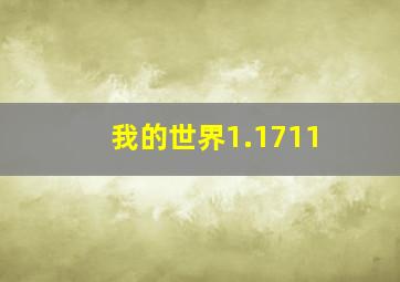 我的世界1.1711