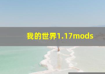 我的世界1.17mods