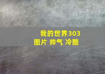 我的世界303图片 帅气 冷酷