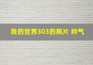 我的世界303的照片 帅气