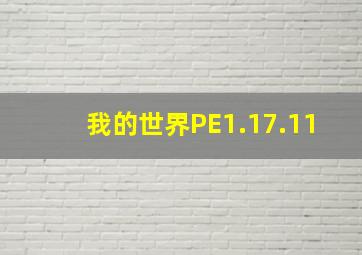 我的世界PE1.17.11