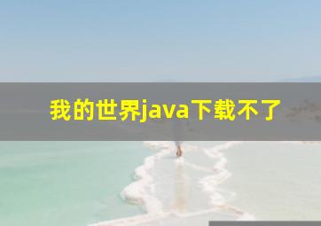 我的世界java下载不了