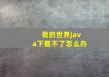 我的世界java下载不了怎么办