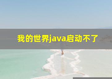 我的世界java启动不了