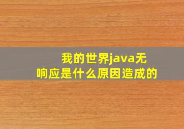 我的世界java无响应是什么原因造成的