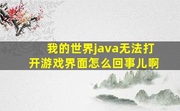 我的世界java无法打开游戏界面怎么回事儿啊