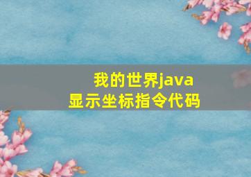 我的世界java显示坐标指令代码