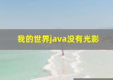 我的世界java没有光影