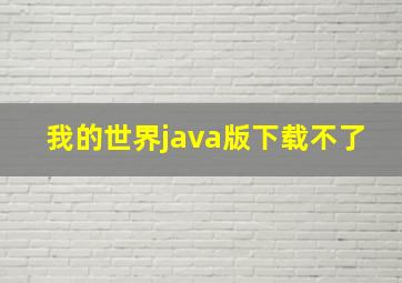 我的世界java版下载不了