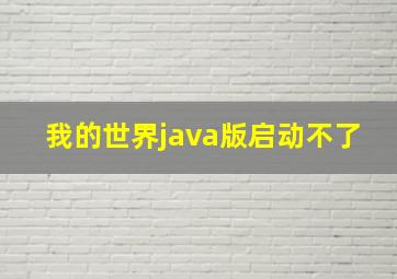 我的世界java版启动不了