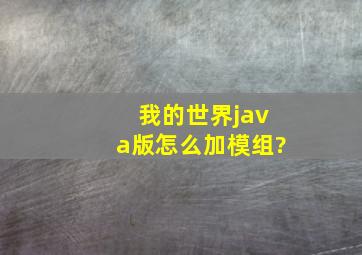 我的世界java版怎么加模组?