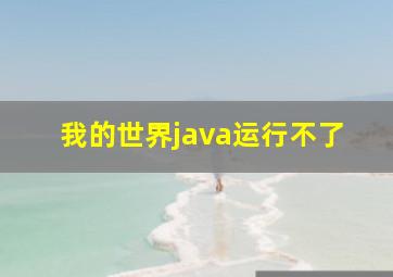 我的世界java运行不了