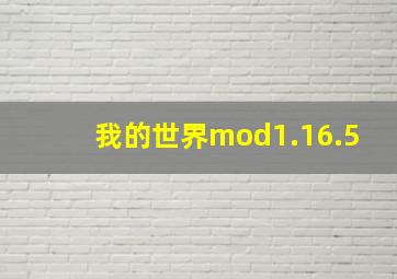 我的世界mod1.16.5