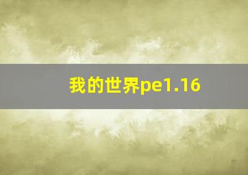 我的世界pe1.16