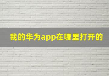 我的华为app在哪里打开的