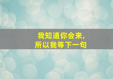 我知道你会来,所以我等下一句