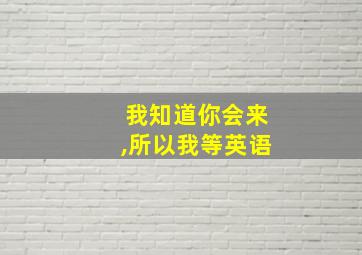 我知道你会来,所以我等英语