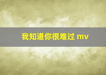 我知道你很难过 mv