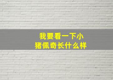 我要看一下小猪佩奇长什么样