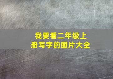 我要看二年级上册写字的图片大全