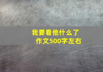 我要看他什么了作文500字左右