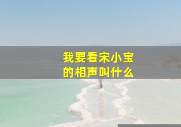 我要看宋小宝的相声叫什么