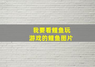 我要看鲤鱼玩游戏的鲤鱼图片