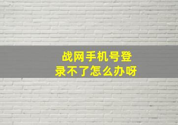 战网手机号登录不了怎么办呀