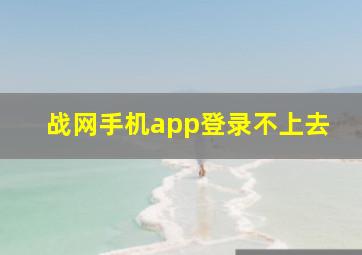 战网手机app登录不上去