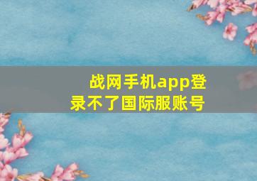 战网手机app登录不了国际服账号