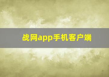 战网app手机客户端