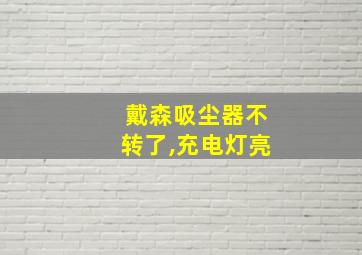 戴森吸尘器不转了,充电灯亮