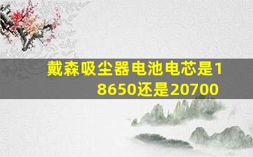 戴森吸尘器电池电芯是18650还是20700