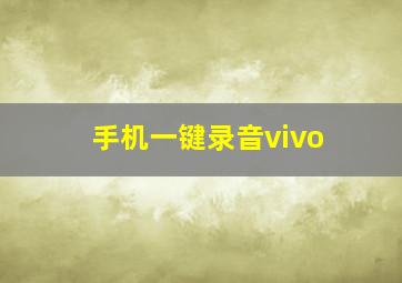 手机一键录音vivo