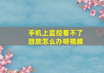 手机上监控看不了回放怎么办呀视频