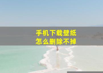 手机下载壁纸怎么删除不掉