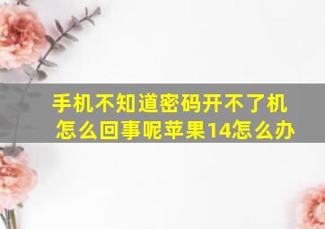 手机不知道密码开不了机怎么回事呢苹果14怎么办