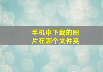 手机中下载的图片在哪个文件夹