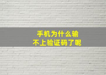 手机为什么输不上验证码了呢