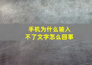 手机为什么输入不了文字怎么回事