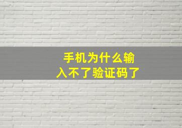 手机为什么输入不了验证码了