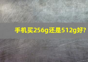 手机买256g还是512g好?