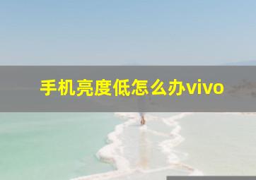 手机亮度低怎么办vivo