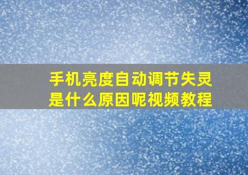 手机亮度自动调节失灵是什么原因呢视频教程