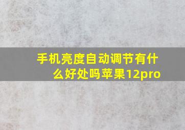 手机亮度自动调节有什么好处吗苹果12pro