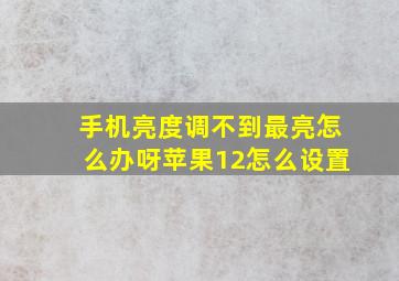 手机亮度调不到最亮怎么办呀苹果12怎么设置