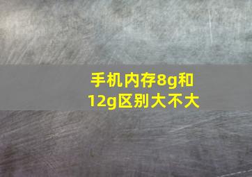 手机内存8g和12g区别大不大