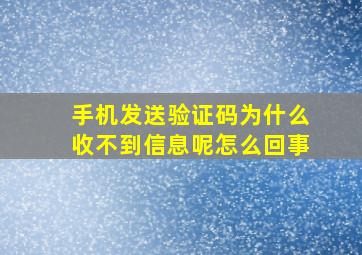 手机发送验证码为什么收不到信息呢怎么回事